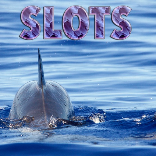 Spinner Dolphin Slots - FREE Slot Game