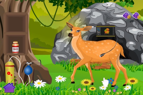Deer baby birth - games for girls screenshot 2