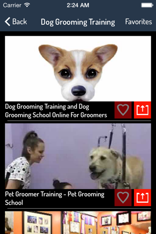 How To Train a Dog - Dog Training Guide screenshot 2
