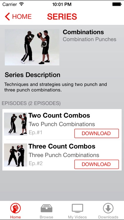 Boxing Lessons - M.A.C. Martial Arts College