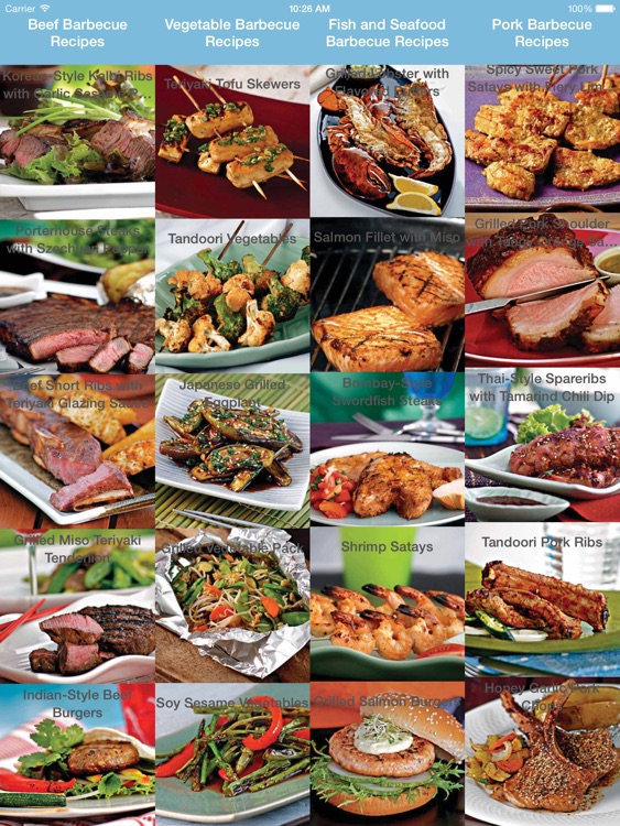 Barbecue Cookbook for iPad