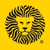 Leones Negros