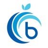 BerryTerminal