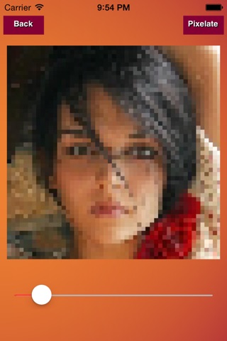 Video Pixelate screenshot 4