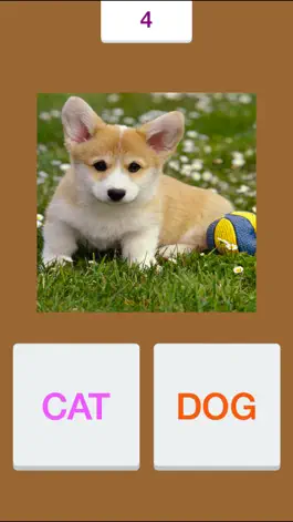 Game screenshot Tic Toc: Dog or Cat apk