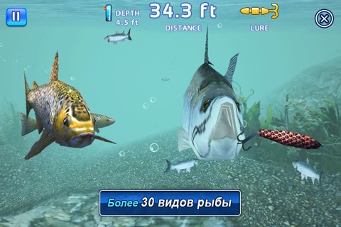 Скриншот из Fishing Kings Free+