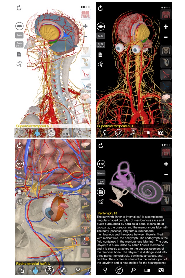 3D Organon Anatomy screenshot 2