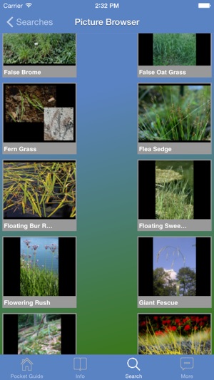 Pocket Guide UK Grasses(圖2)-速報App