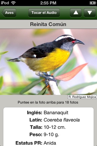 Puerto Rico and Virgin Islands Birds screenshot 2