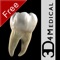 This is a Lite version of the Dental Patient Education app, developed in collaboration with Dr Brian Davey DDS