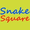 Snake Square