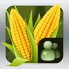 ScoutPro Corn Consulting