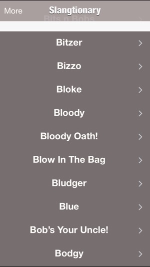 Slangtionary - The Ultimate Slang Dictionary On The Planet A(圖4)-速報App