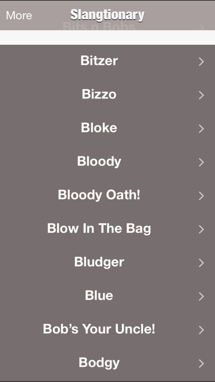 Slangtionary - The Ultimate Slang Dictionary On The Planet Absolutely Free screenshot-3