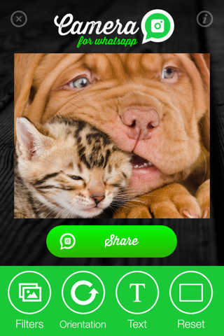 Camera for WhatsApp - Share amazing photos with your friends screenshot 2