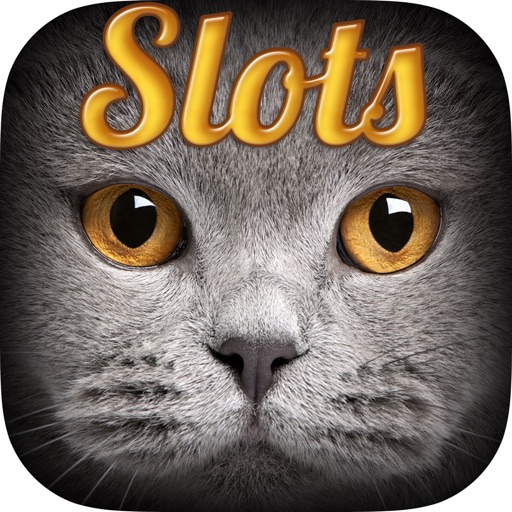 -Meow- Free Casino Sushi Cat Slots Machine icon
