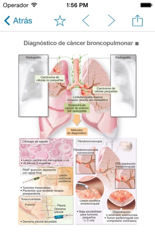 Miniatlas Lung Cancer screenshot 2