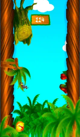 Game screenshot Ninja Jungle Run Fast 2016 hack