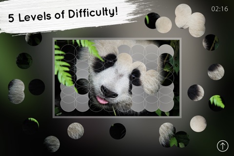 Venn Bears: Overlapping Jigsaw Puzzles screenshot 3