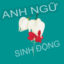 TyGonVOV - Anh Ngữ Sinh Động