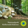 Nationalpark Kellerwald - en