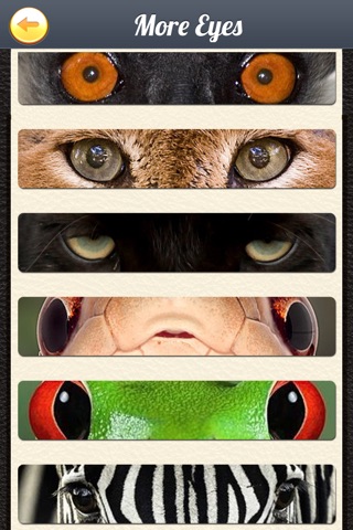 ZooEyes - Blend Yr Face to Ultra Awesome Reptile or Wild Animal Eyes Split! screenshot 4