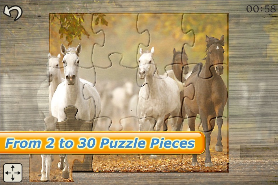 Mighty Horses - Real Horse Picture Puzzle Games for kids screenshot 4