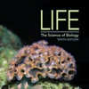 Biology Flashcards for Life: The Science of Biology