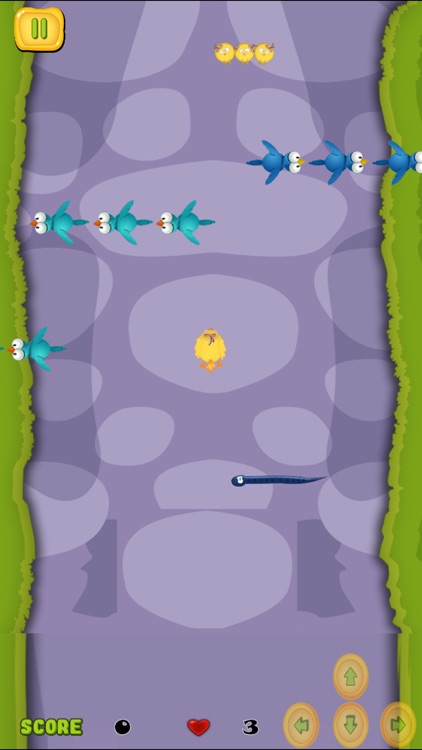 A Baby Chick Escape FREE - Farm Animal Road Cross Challenge