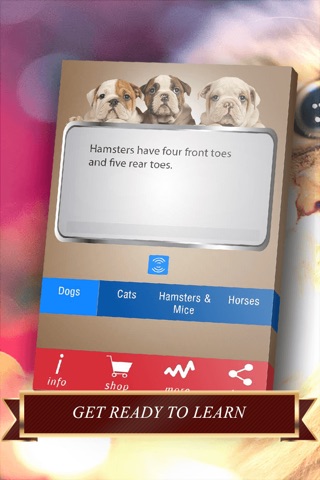 Pets Facts PRO - Trivia for Animal Lovers screenshot 2