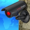Live cams - 4000+ live cameras worldwidе