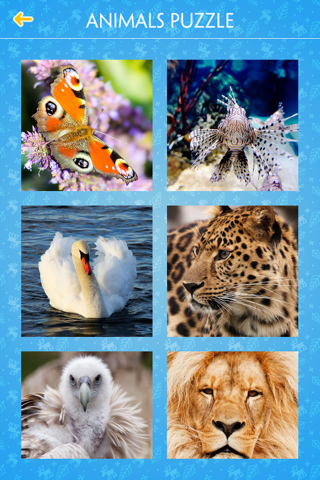 Jigsaw Puzzle - Animals screenshot 2