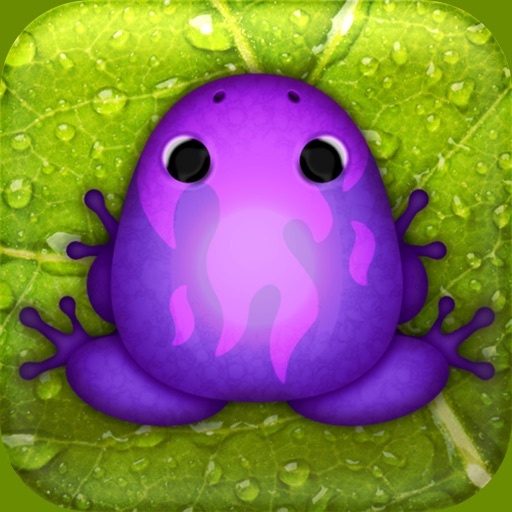 Pocket Frogs - Free pet farming