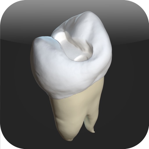 CavSim : Dental Cavity Preparations Free icon