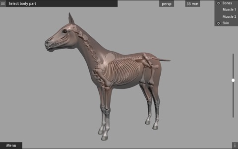 Animal Anatomy 3D screenshot 4