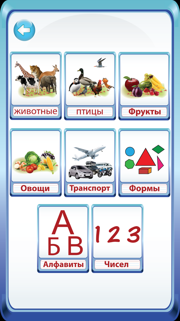 Colorful Russian ABC Alphabets Nursery Flash Cards