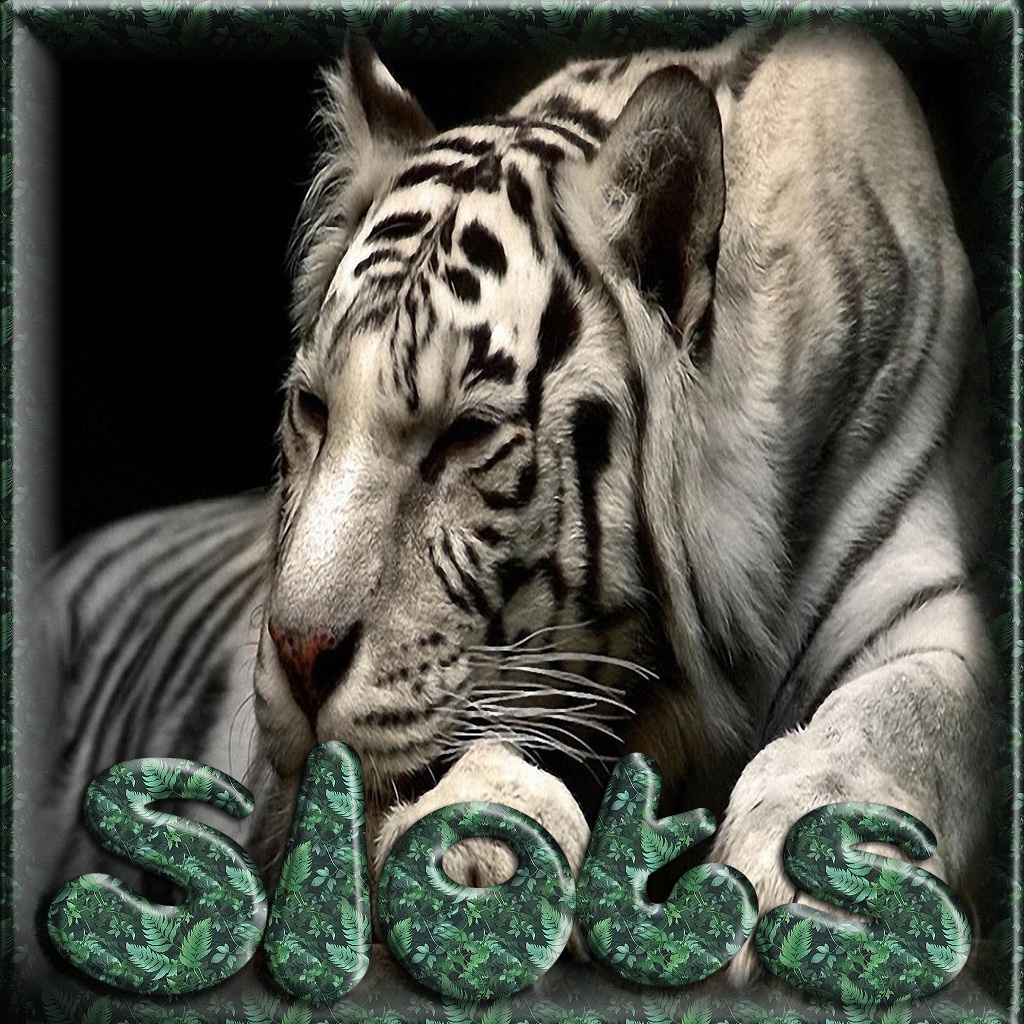 ````` 2015 ````` Aaby Safari Slots-Free Game Casino 777