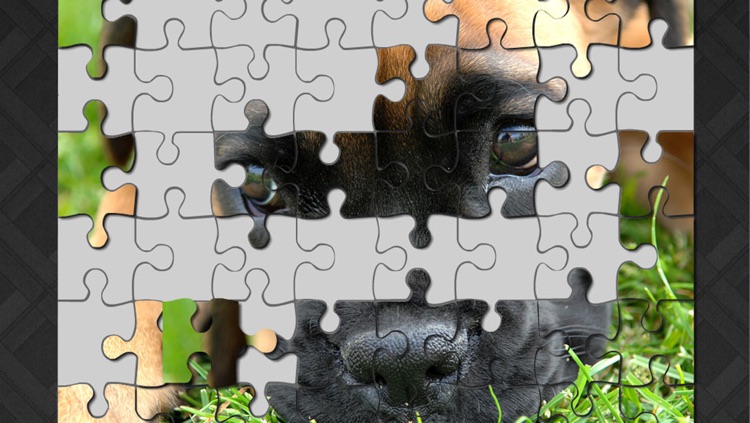 puzzler kids - puppies screenshot-3