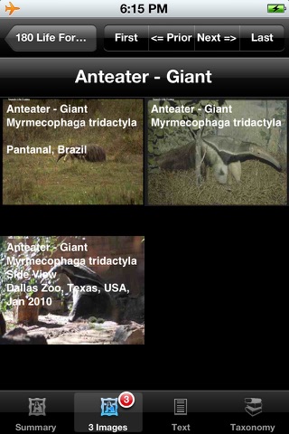 Mammals of North, Central & South America - A Mammal App screenshot 3