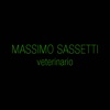 Massimo Sassetti