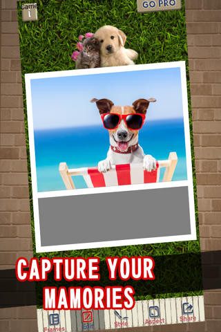 A Pet Frame Photo Editor App For Dogs, Cats, Birds, and other Animals FREE screenshot 2