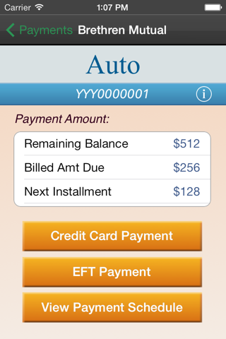 Brethren Mutual screenshot 4