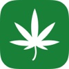 Medical Cannabis Guide