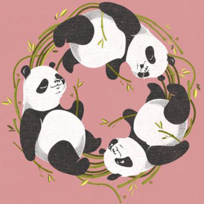 Panda HD Wallpaper dan Backgrounds