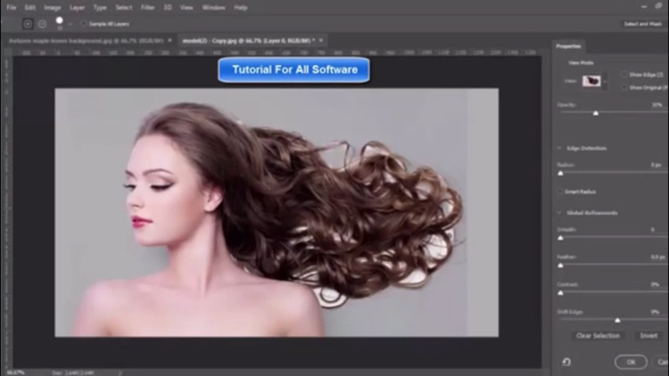 Easy To Use! Adobe Animate 2017 Edition