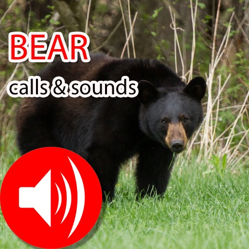 Bear Hunting Calls & Sounds - Real Sounds icon