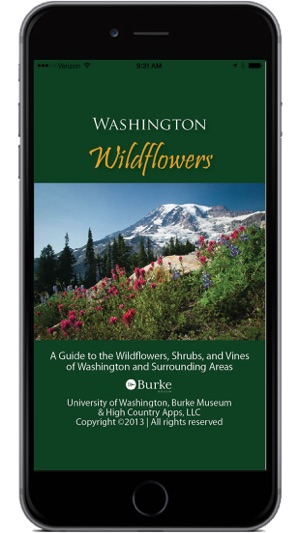 Washington Wildflowers(圖1)-速報App