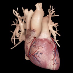 Cardiological - Mobile Edition