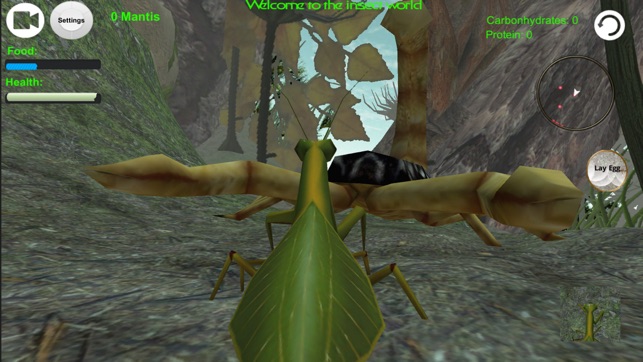 Praying Mantis Simulator 3D(圖2)-速報App