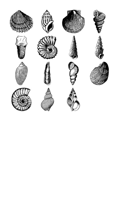 Seashell Stickers!